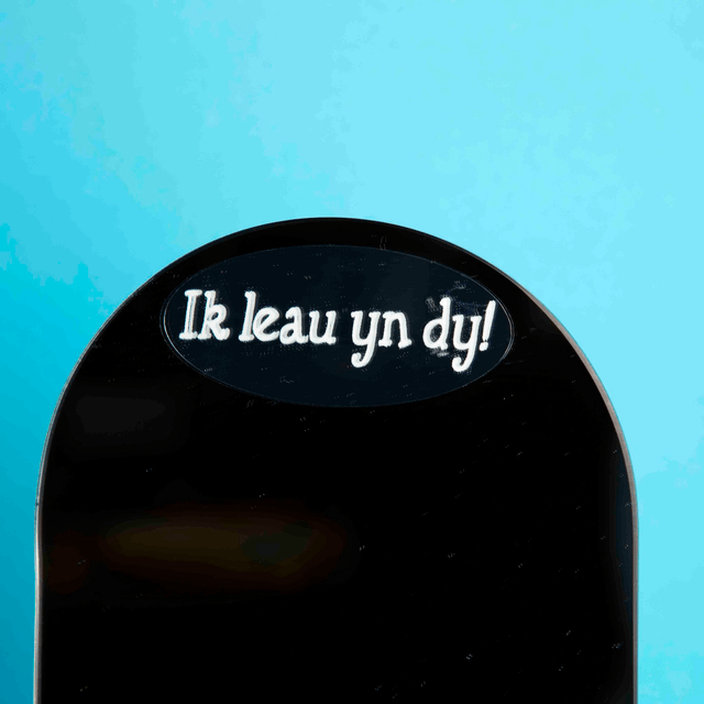 Fryske spiegelspreuken