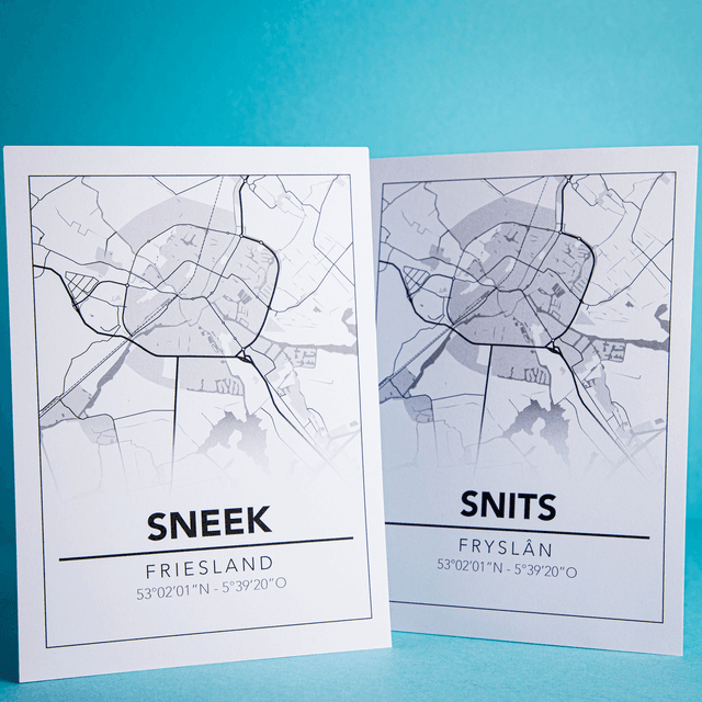 Plattegrondposter Snits/Sneek